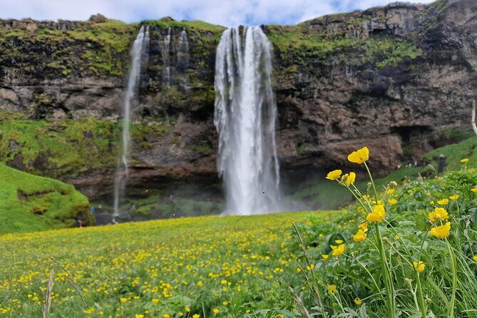 South Iceland, Glacier and Black Sand Beach Small Group Tour - Hotel Pickup and the Small-Group Comfort Play