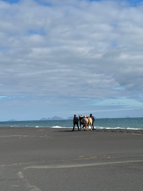 southern Iceland: Black beach riding tour - What to Wear for Southern Winds and Black Sand