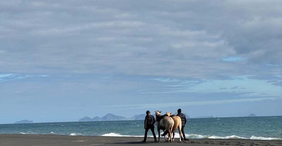 southern Iceland: Black beach riding tour - Getting There: Meeting Point at Grímsstaðir (Oddavegur Directions)