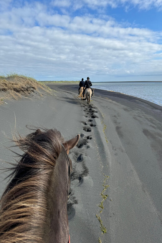 southern Iceland: Black beach riding tour - Who This Ride Fits Best (Age, Weight, and Riding Level)