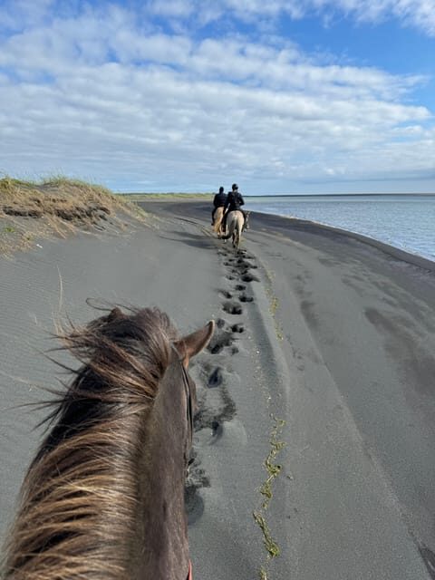 southern Iceland: Black beach riding tour