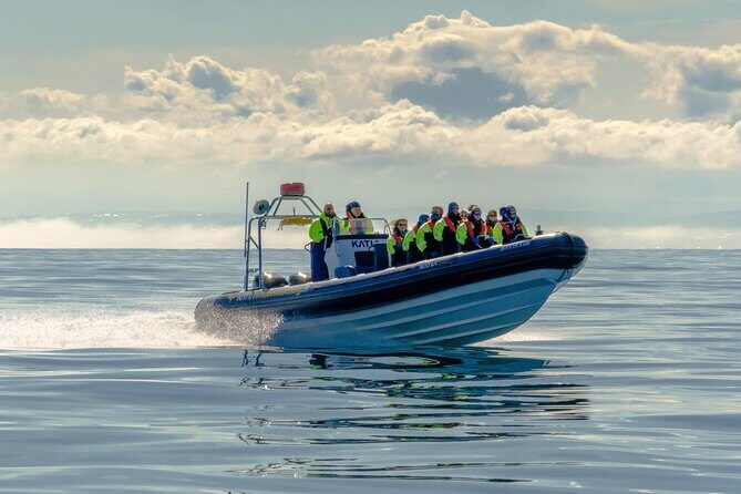 Speedboat Whale Watching Small-Group Tour in Reykjavik - Why the speedboat style matters in Faxaflói Bay