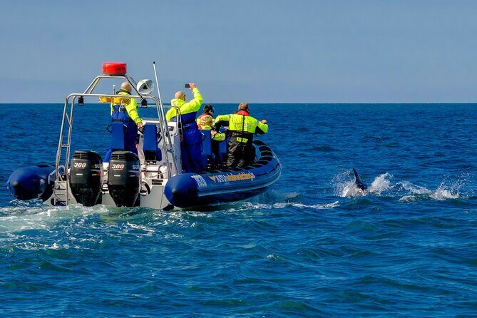 Speedboat Whale Watching Small-Group Tour in Reykjavik - Gear and comfort: warm on paper, check it in real life