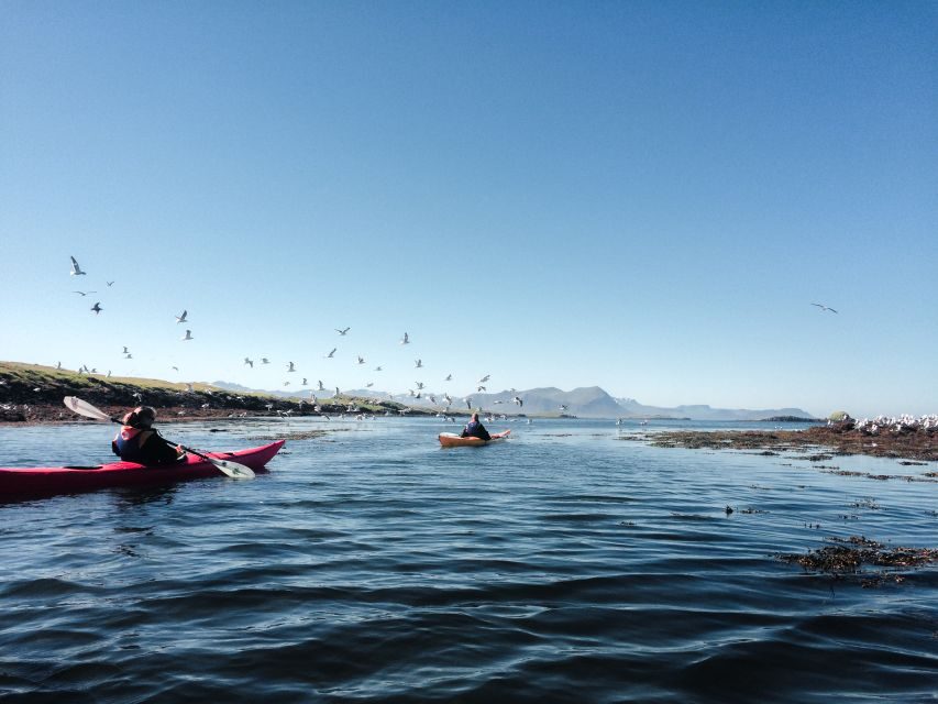 Stykkishólmur: 2-Hour Sea Kayak Tour - Key highlights in 60 seconds