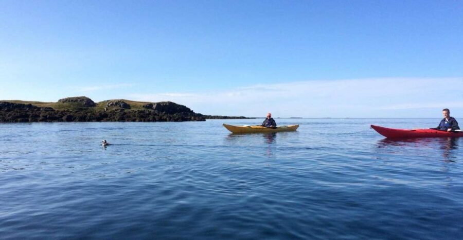 Stykkishólmur: 2-Hour Sea Kayak Tour - Stykkishólmur sets the tone before you even paddle