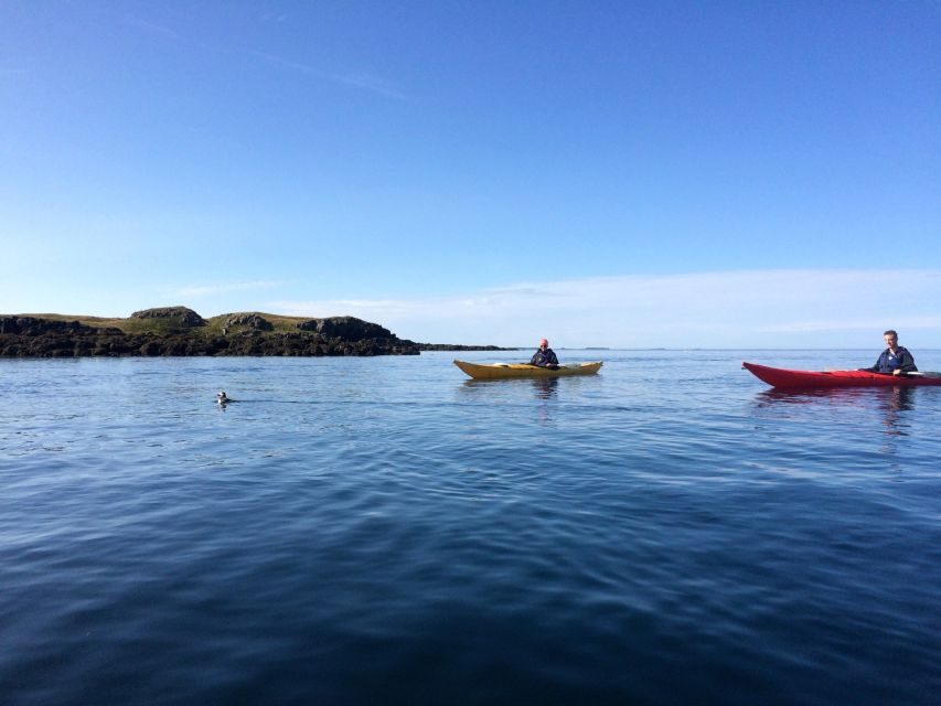 Stykkishólmur: 2-Hour Sea Kayak Tour - Landey and eiderdown harvesting: a working landscape, seen from water