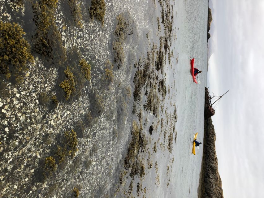 Stykkishólmur: 2-Hour Sea Kayak Tour - Breiðafjörður shipwrecks and the Thorgeir effect