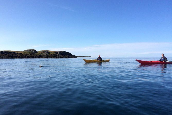 Stykkisholmur Sea kayak Day tour - Key Things You’ll Notice on This Sea Kayak Tour