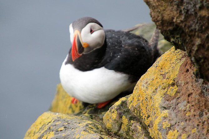 The Great Round Tour: Around Iceland in 13 Days - Meet Jens Olafsson: the guide part you’ll feel every day