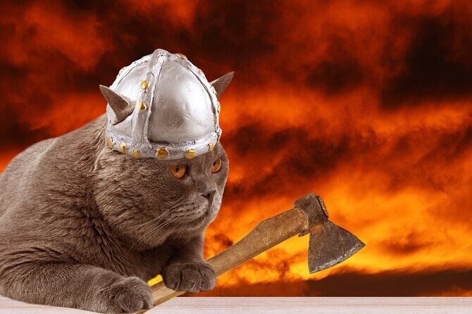 The Reykjavik Cat Walking Tour - Key Highlights You Should Know Before You Go