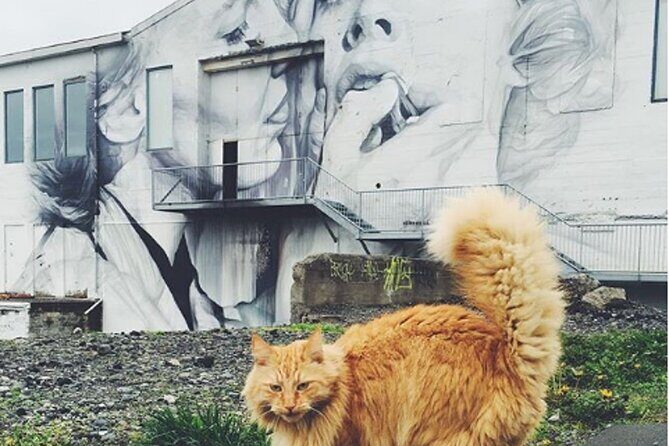 The Reykjavik Cat Walking Tour - Price and Value: What You’re Really Paying For