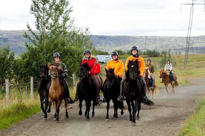 The Siggi Tour from Reykjavík: 1.5 to 2-Hour Ride