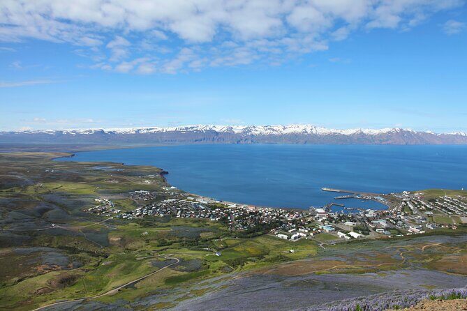 The Story of Fire Saga Eurovision: Netflix Húsavík Walking Tour - Eurovision Footsteps in Húsavík: who this tour is perfect for