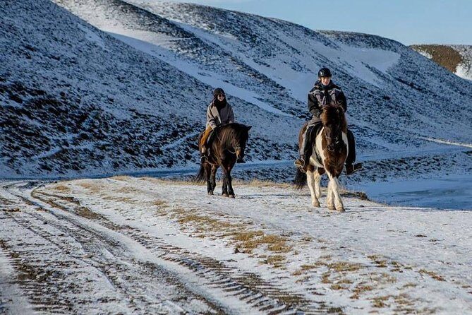 The Viking Horse Riding Experience in North Iceland - Key things to know before you go
