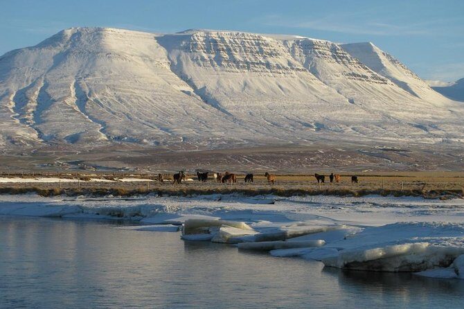 The Viking Horse Riding Experience in North Iceland - Why Akureyri and North Iceland work so well for horse riding