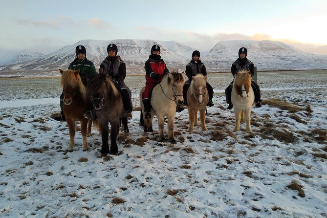 The Viking Horse Riding Experience in North Iceland - The 90 minutes outside: snow trails, gates, river crossings, and a waterfall turnaround