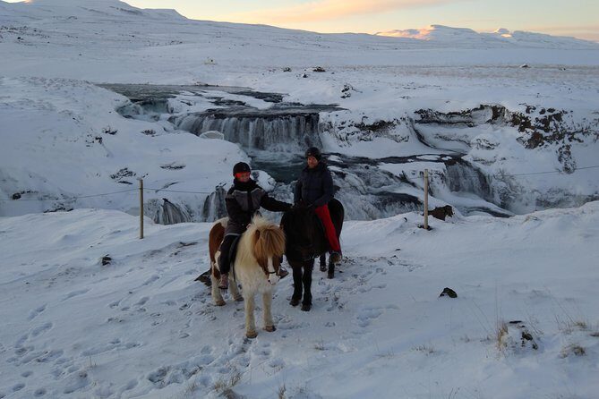 The Viking Horse Riding Experience in North Iceland - Who should book this Viking Horse Riding experience