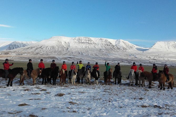 The Viking Horse Riding Experience in North Iceland - Finding the reception: the 20-minute check-in that saves your day