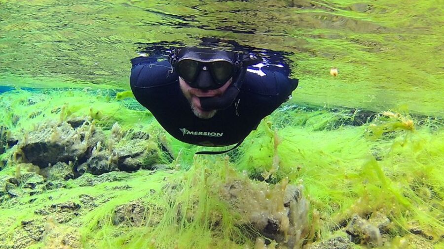 Thingvellir: Silfra Freedive Adevnture with a Guide - The free-breathing session between tectonic plates