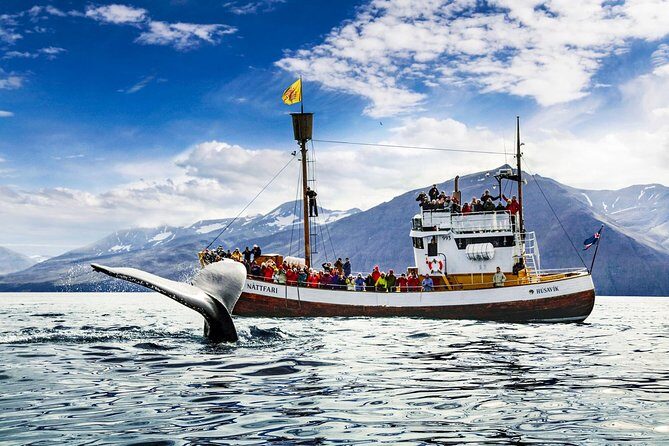 Traditional Oak Ship Whale Watching Tour From Husavik - Why this Husavík whale tour feels different than the average cruise