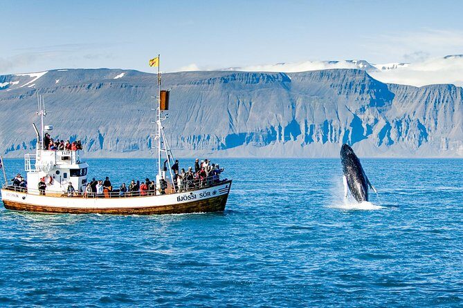 Traditional Oak Ship Whale Watching Tour From Husavik - Your 3-hour rhythm: what the sailing time really feels like