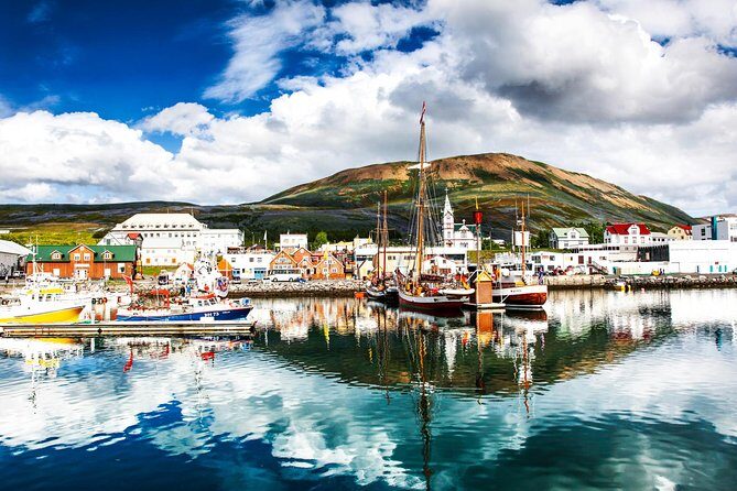 Traditional Oak Ship Whale Watching Tour From Husavik - Price and value: is $118.56 worth it?
