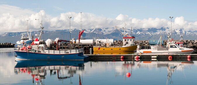 Traditional Whale Watching from Húsavík by Local Family Company - Key Highlights I’d Prioritize