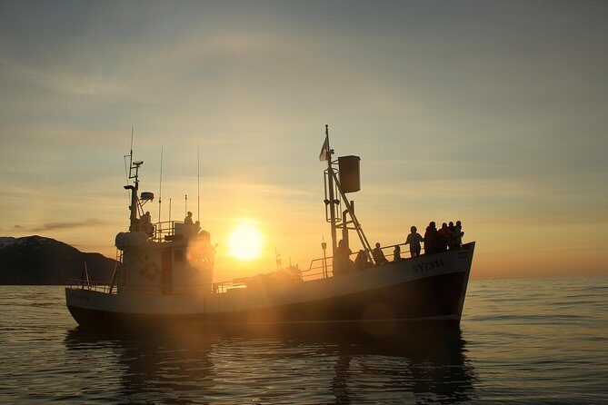 Traditional Whale Watching from Húsavík by Local Family Company - Comfort, Crowding, and Motion: The Real Trade-Off on a Busy Boat