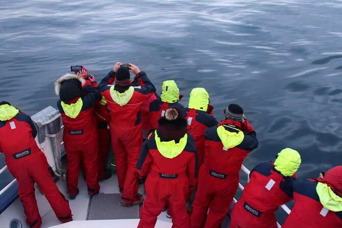 Two-In-One: Whale & Puffin Watching Tours from Reykjavik - Who this tour suits best (and who should adjust expectations)