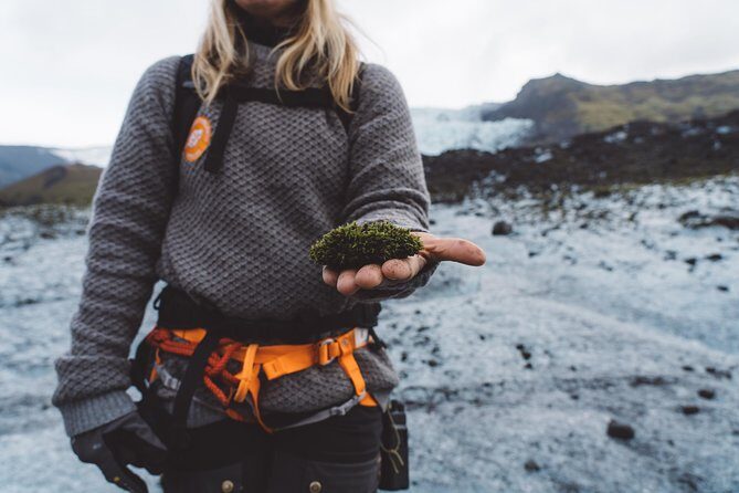 Vatnajökull Guided Beginner Glacier Walk with 4x4 Transfer - Key highlights to know before you go