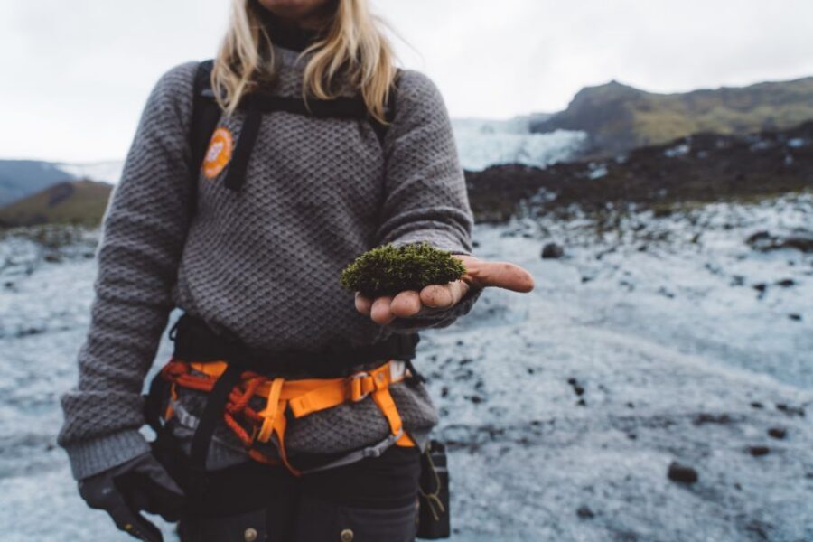 Vatnajökull: Short Glacier Encounter Walk with 4x4 Transfer - Group size and pacing: why this tour feels controlled