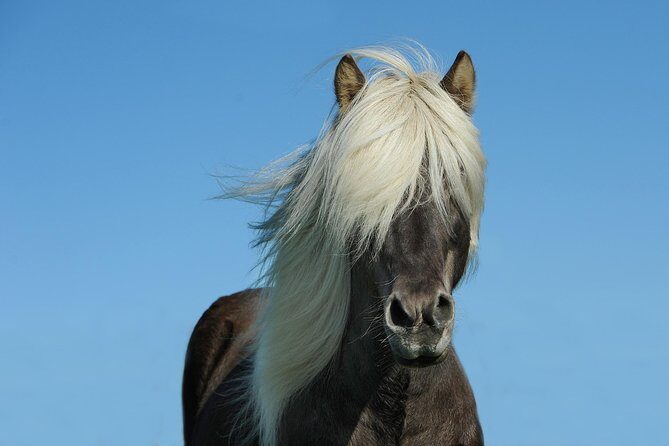 Viking Horse Riding and Golden Circle Tour from Reykjavik - Gullfoss waterfall: the Hvítá River’s two-tier roar