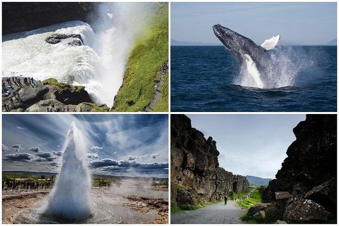 Whale Watching and Golden Circle Tour from Reykjavik - Strokkur and the Geysir Area: Watching Steam Do Its Thing