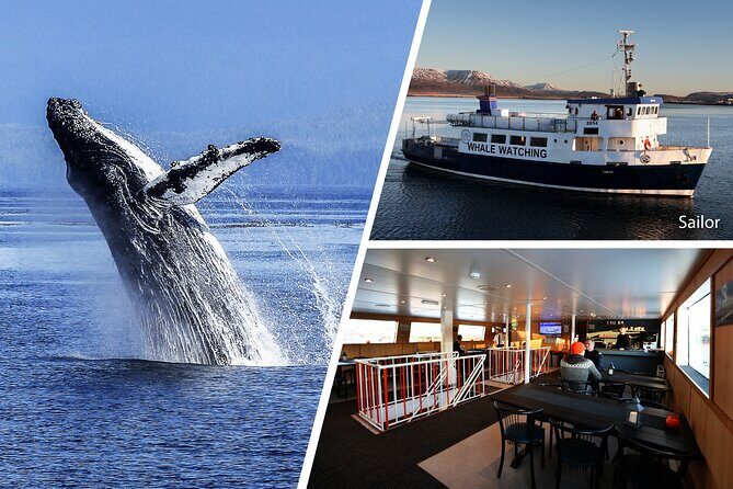 Whale Watching and Marine Life Tour in Reykjavik - Faxafloi Bay geography: the views from the ship are part of the show
