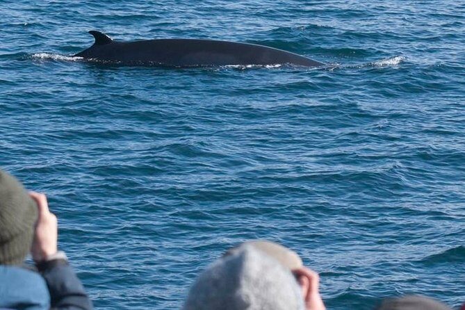 Whale Watching & ATV Adventure from Reykjavik - Stop 1: From Lambhagi to the Fell Viewpoint