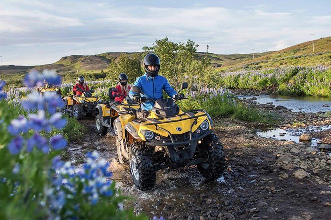 Whale Watching & ATV Adventure from Reykjavik - Price and Value: Is $329.74 a Good Deal?
