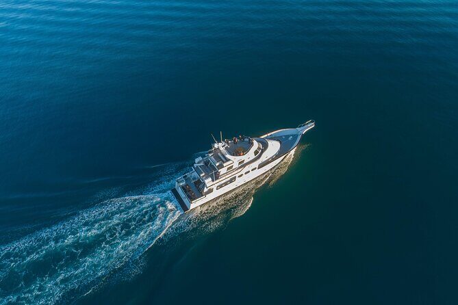 Whale Watching Cruise on a Yacht in Reykjavik - Price and what $102 buys you in Reykjavik