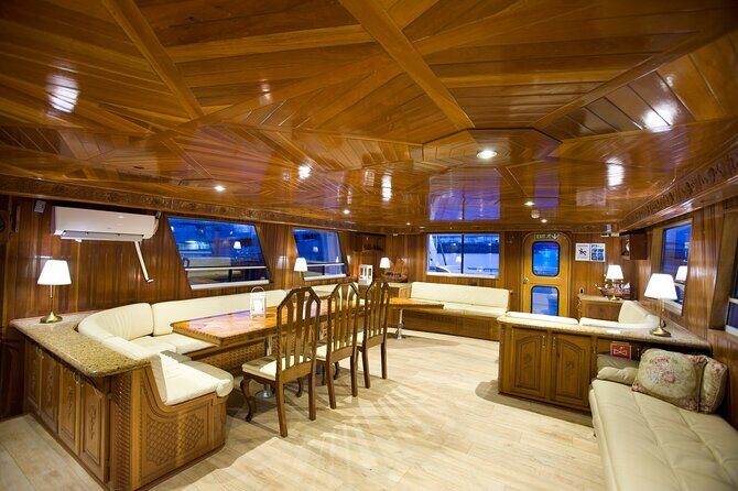 Whale Watching Cruise on a Yacht in Reykjavik - The guide and boat setup: warm comfort with real viewing spots