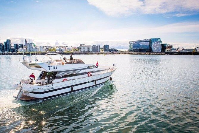 Whale Watching & Dolphin Yacht Cruise - Key things worth knowing before you sail