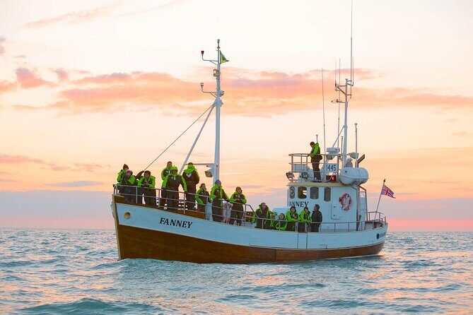 Whale Watching in Husavik - Warm gear, hot cocoa, and the smart add-on: the Whale Museum