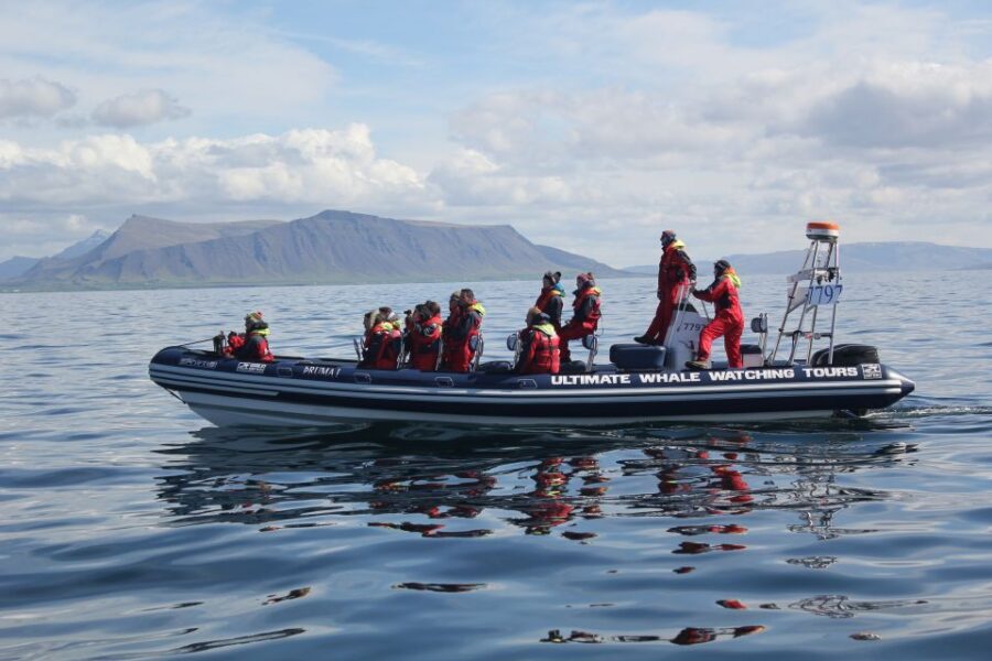 Whale Watching in Reykjavik by Speedboat - Shore Stops From the Water: Sun Voyager and Harpa