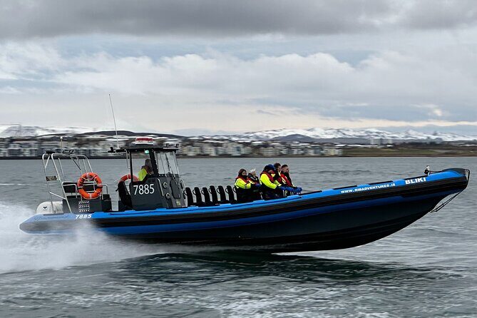 Whale Watching - RIB Boat Adventure in Kopavogur, Iceland - From Kópavogur harbor to the search zone in 15–25 minutes