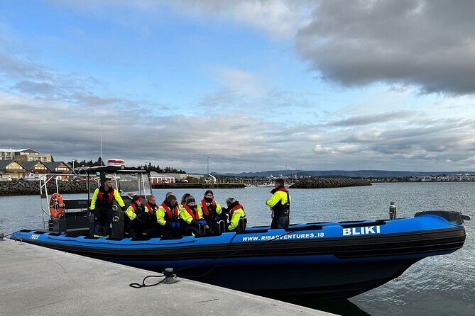 Whale Watching - RIB Boat Adventure in Kopavogur, Iceland - The main hunt: about an hour of watching whales and dolphins