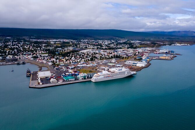 Whale Watching Tour from Akureyri City Central
