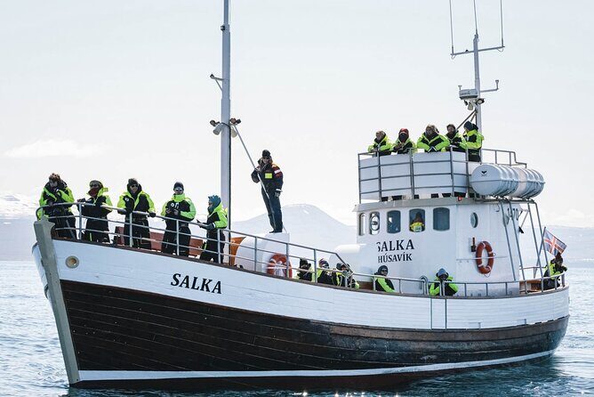 Whales and Puffins Tour from Husavik - Who should book this, and who should switch to regular whale watching
