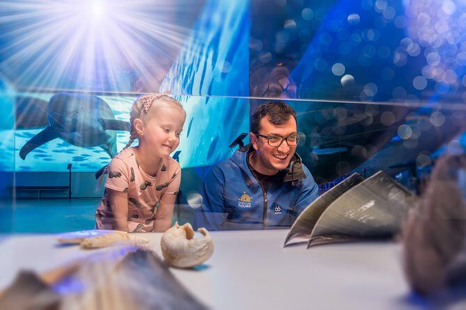 Whales Of Iceland Admission Ticket - Fin Whale Theatre Screenings: Plan Your Time Around the Movies