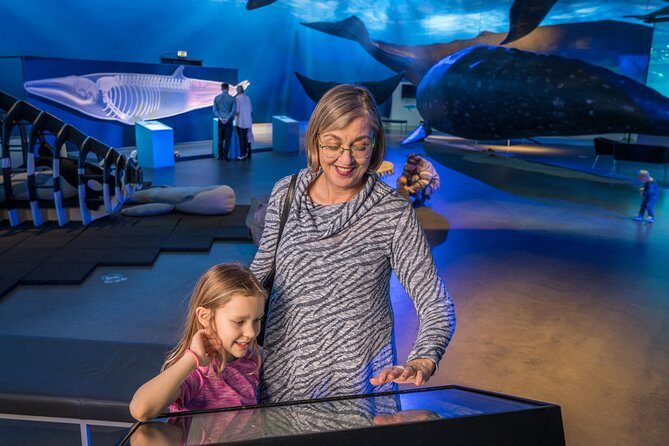Whales Of Iceland Admission Ticket - English Guided Tours at 11:00 and 15:00 (Small Groups Make It Easier)