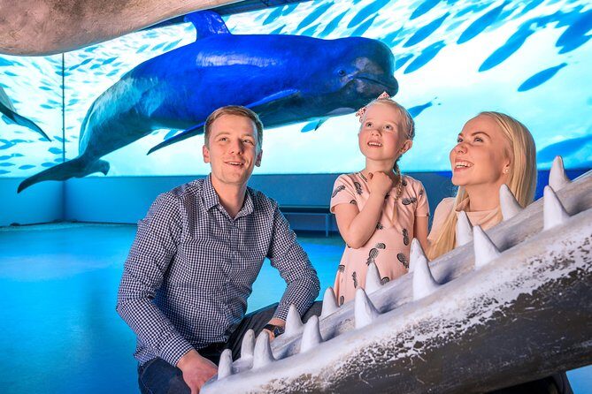 Whales Of Iceland Admission Ticket - Should You Book Whales Of Iceland?