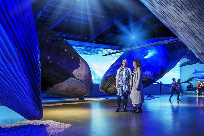 Whales of Iceland from Land and Sea - The Whales of Iceland exhibition: Europe’s whale museum that actually prepares you to see whales