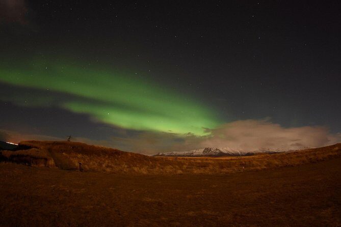 Winter Whale Watching and Northern Lights Cruise from Reykjavik - Afternoon Whale Watching: 3 Hours Off the Reykjavik Harbor